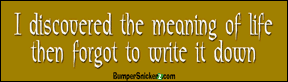 I Discovered the Meaning of Life then forgot to write it down - Funny Stickers (Small 5 x 1.4 in.) Decals BumperSnickerz PHI10049_S.pdf