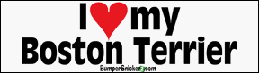 Decals BumperSnickerz PET10020_S.pdf