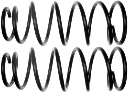 Coil Springs Raybestos 585-1349