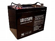 Batteries UPG D5882