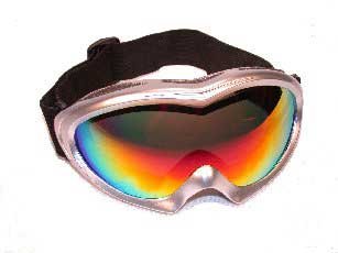 Goggles Birdz Eyewear 