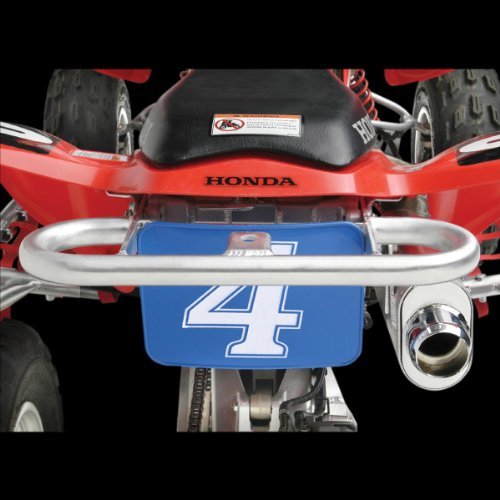 Nerf Bars DG Performance 592-4509