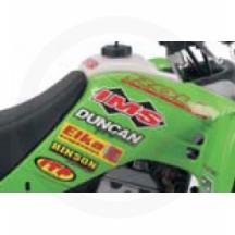 Electric Fuel Pumps IMS 122222R1