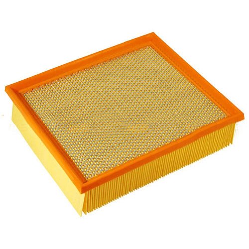 Air Filters Mann Filter C29198