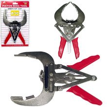 Rings Pit Bull CHIPP081