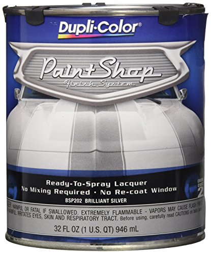Touchup Paint Dupli-Color BSP202