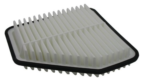 Air Filters Pentius PAB10169