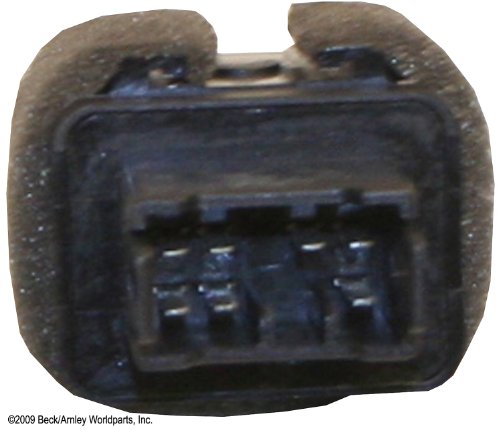 Sunroof Beck Arnley 2030147