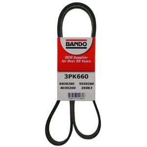 Serpentine Bando USA 8PK2095