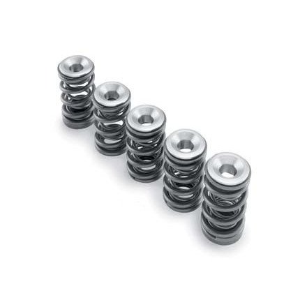HOTCAMS Valve Spring Kit (SILVER) Valve Parts Hot Cams SKYFM660S2