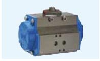 Actuator Assemblies DuraChoice 80DA0019 - DA 125