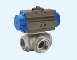 Exhaust Valves DuraChoice 8P0143150