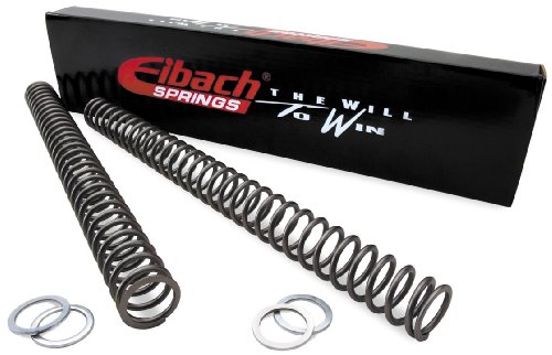 Ram Air Kit Eibach 77-0181
