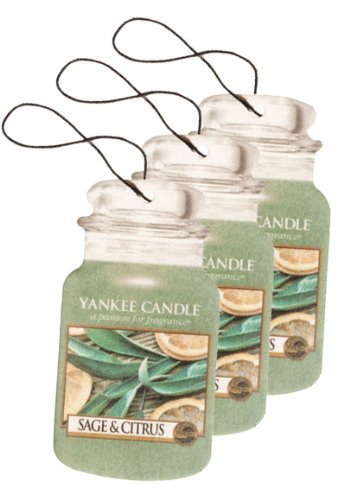 Air Fresheners Yankee Candle 1114604
