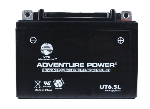 Batteries UPG UT65L