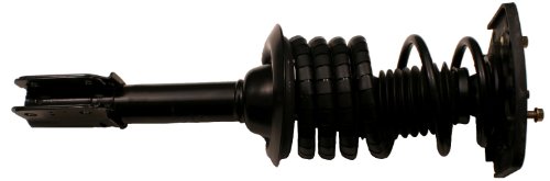 Struts Gabriel G56955
