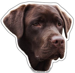 Bumper Stickers, Decals & Magnets Magnet America M-AN-LAB