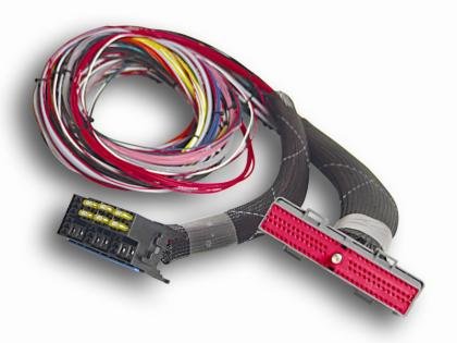 Engine Management Systems AEM 3-1002-32