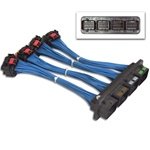 ECM Wiring AEM 30-2981