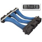 ECM Wiring AEM 30-2992