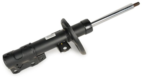 Struts ACDelco 506-667