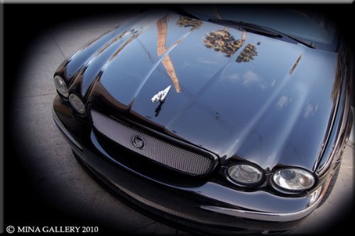 Grille Inserts Mina Gallery prtx225