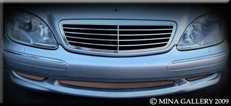 Grille Inserts Mina Gallery prtx455