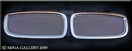 Grille Inserts Mina Gallery prtx634