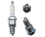 Spark Plugs NGK 6597