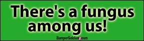 Decals BumperSnickerz SCH10190_RM.pdf