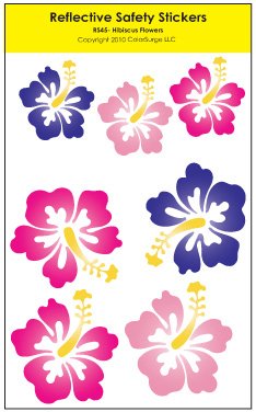 Bumper Stickers, Decals & Magnets Colorsurge LLC RS45
