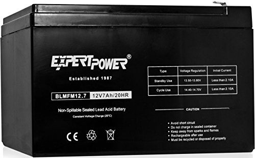 Batteries & Chargers ExpertPower EXP1270