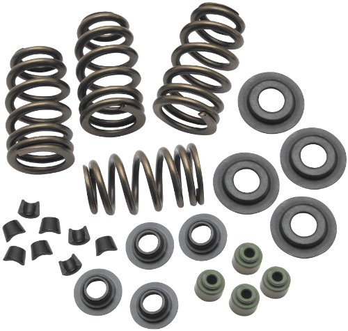 VALVE SPRING KIT Springs S&S Cycle 49-3780