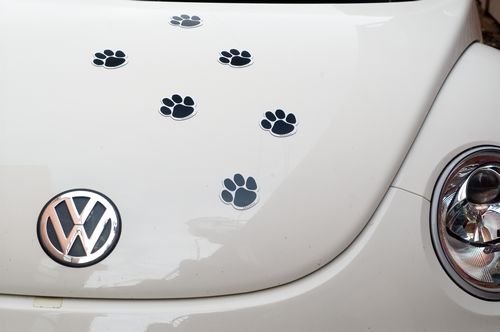 Posters & Prints Art For Your Car 6 Paw Print Magnets