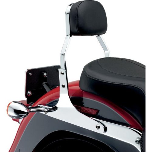 Sissy Bars Cobra 602-1102