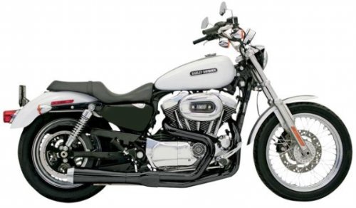 Complete Systems Bassani Xhaust 14222J