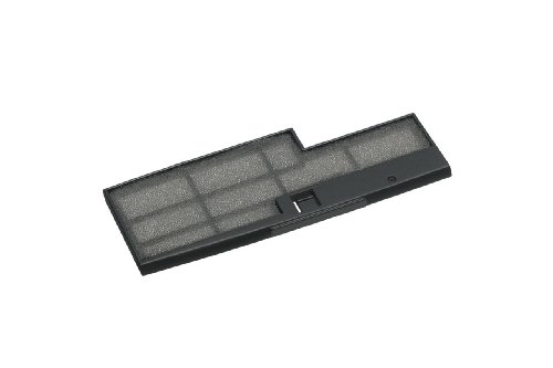 Air Filters Epson V13H134A31