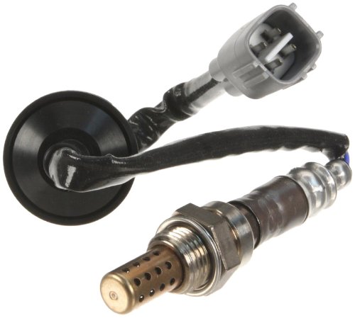 Oxygen Walker Products W0133-1894350-WKR