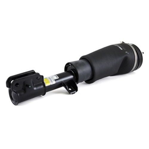 Struts Arnott AS-2307