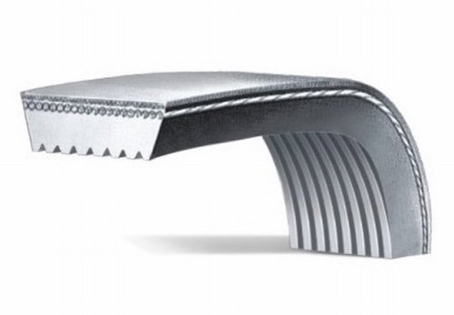 DieHard Gold 445K6 5PK1130 V-Ribbed Serpentine Belt Serpentine DieHard Gold 445K6