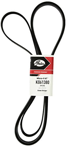 Serpentine Gates K061380