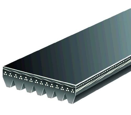 Serpentine Gates 7PK1930