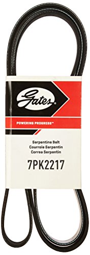 Serpentine Gates 7PK2217