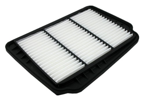 Air Filters Pentius PAB10193