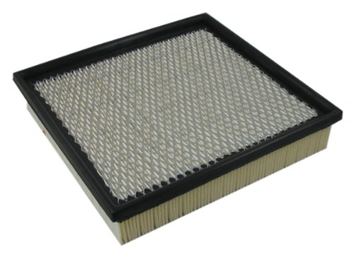 Air Filters Pentius PAB10014