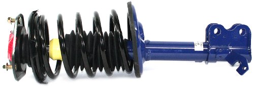 Struts DuraGo 27210181