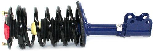 Struts DuraGo 27210182