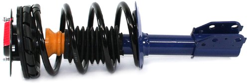 Struts DuraGo 27210020