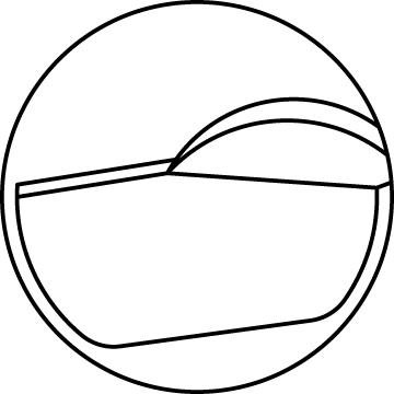 Pistons Clevite 77 224-3101