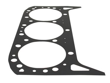 Gaskets GLM 36100